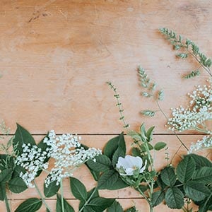 Foto/Grafik Quelle: unsplash.com [by Annie Spratt]