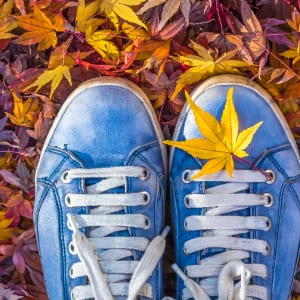 Foto/Grafik Quelle: shutterstock.com [298252562 Herbstsaison in hipster Schuhen - © javarman]